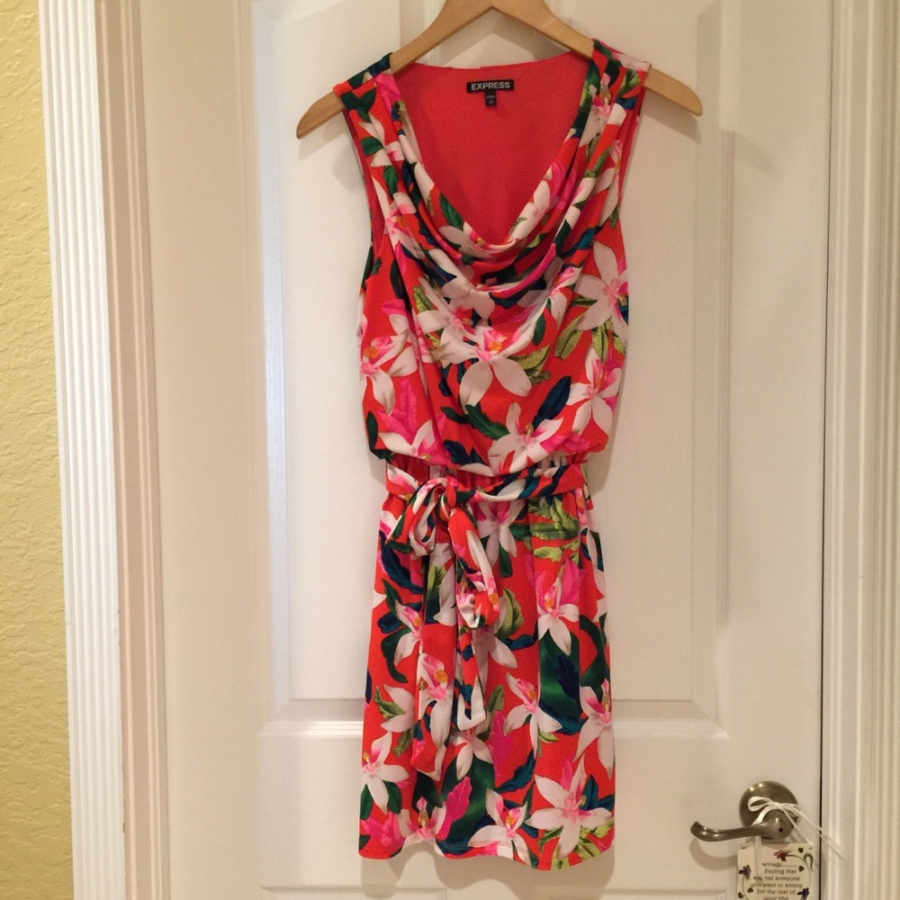 EXPRESS dress